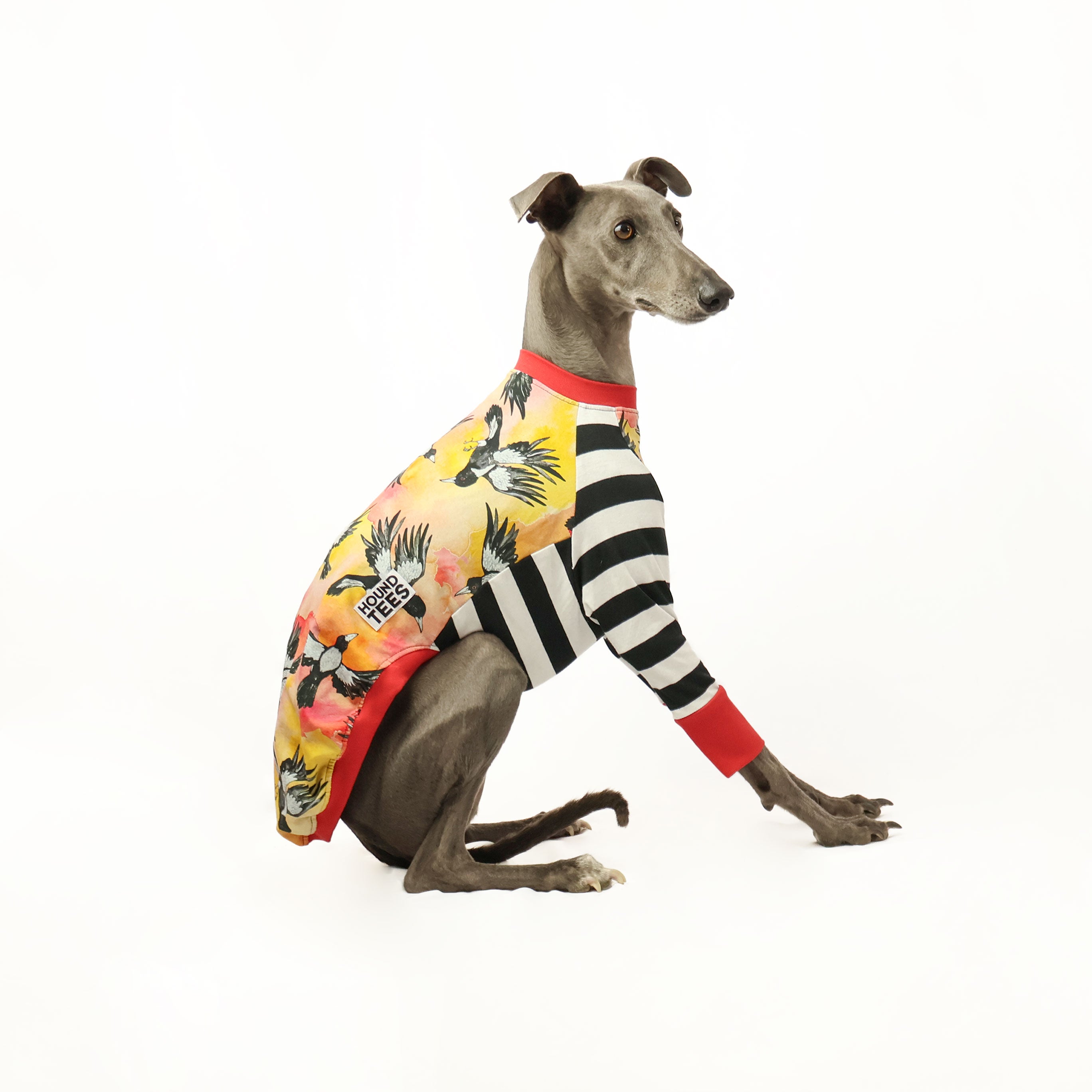 Whippet Long Sleeve Dog Lover T-Shirt - Comfortable Hound Apparel for Dog Owners & Pet Enthusiasts - Perfect for Walks, Gifts & Casual Wear