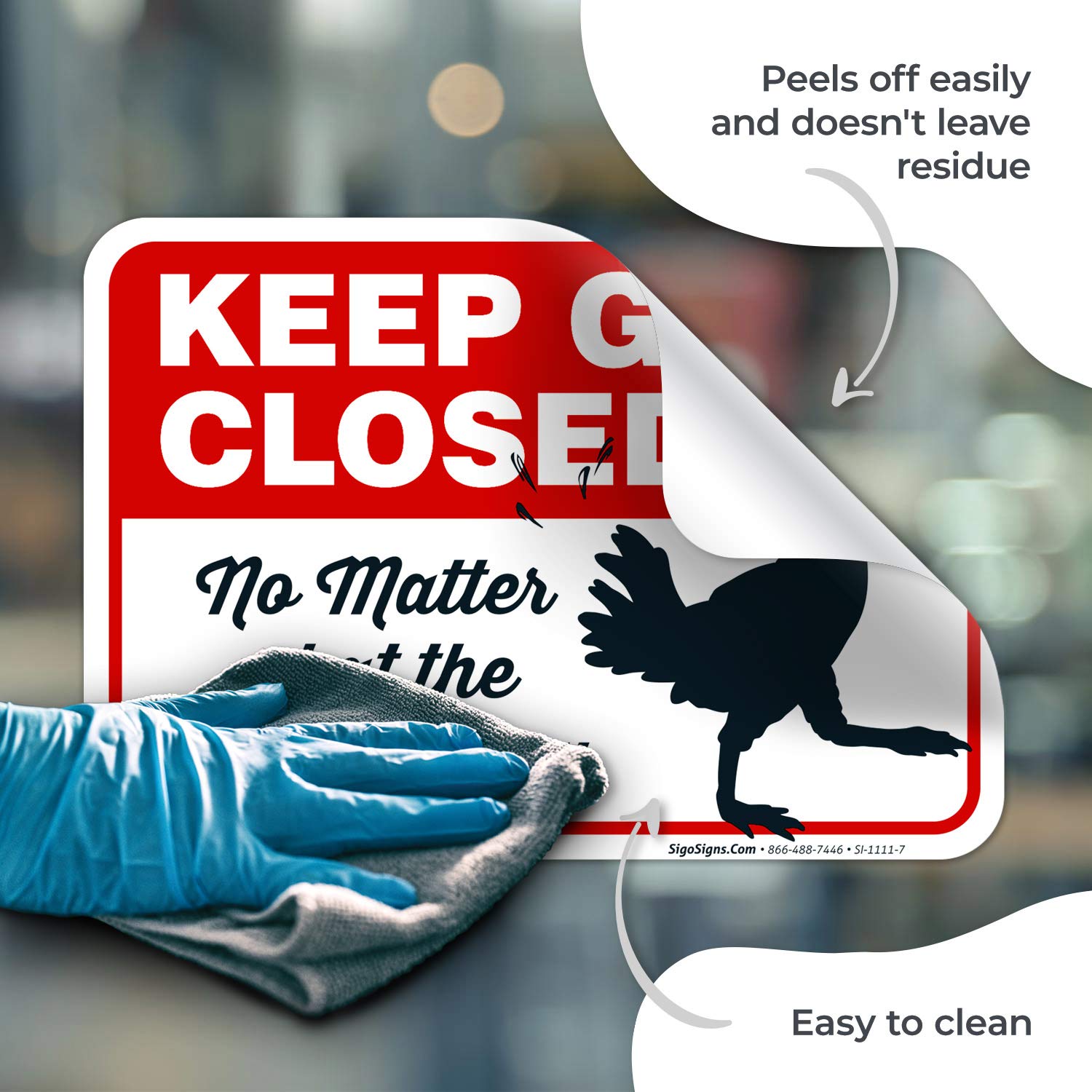 Funny Chicken Coop Sign - 'Keep Gate Closed No Matter What The Chickens Say' - 10x7 Inches Weatherproof Vinyl Decal - Made in USA - Perfect for Farmhouse Decor & Poultry Enthusiasts