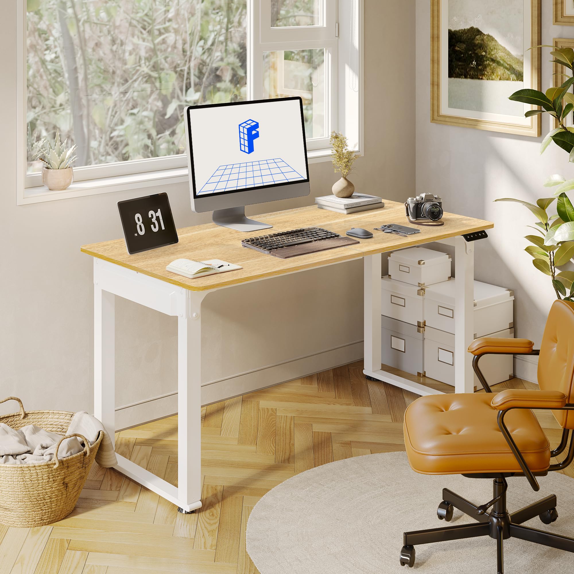 Flexispot Dual Motor Electric Standing Desk 55