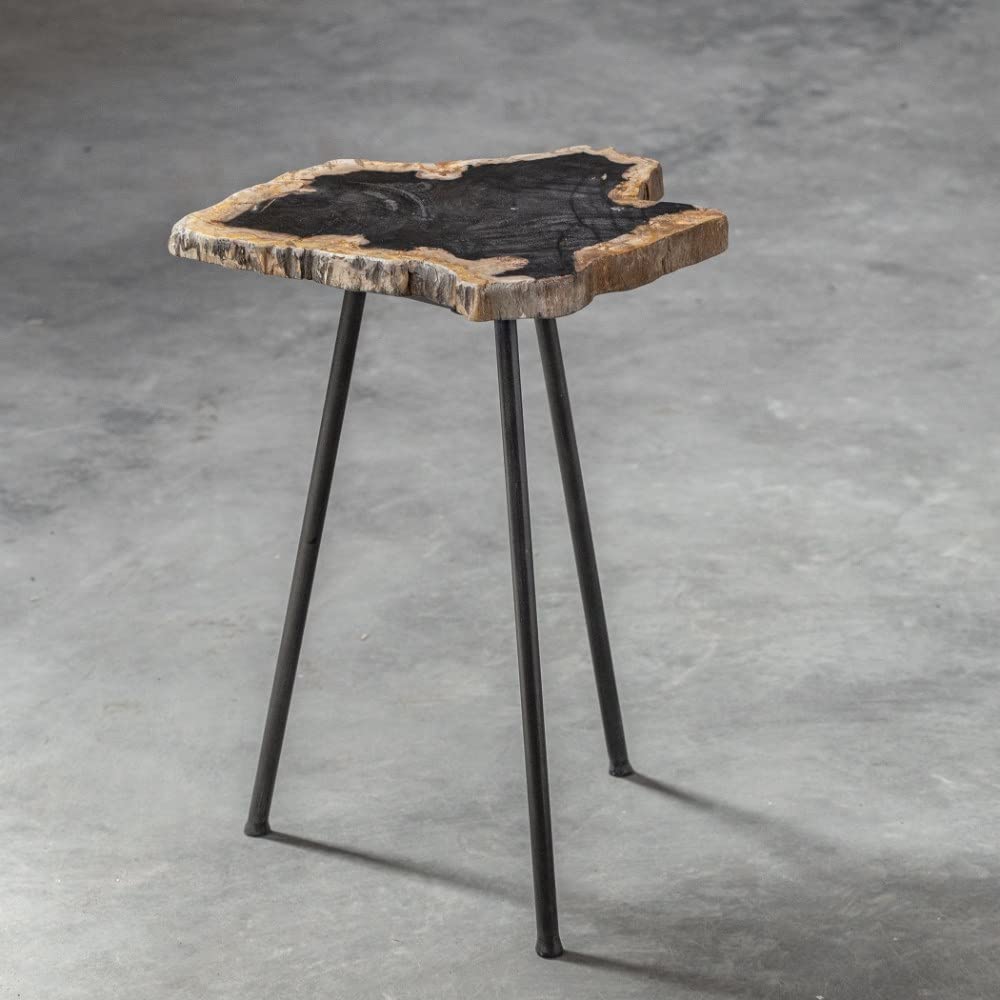 20 Inch Free Form Accent Table with Iron Legs - Nature Inspired Modern Side Table - Contemporary End Table for Living Room, Bedroom & Office Decor - 208-Bel-4190636