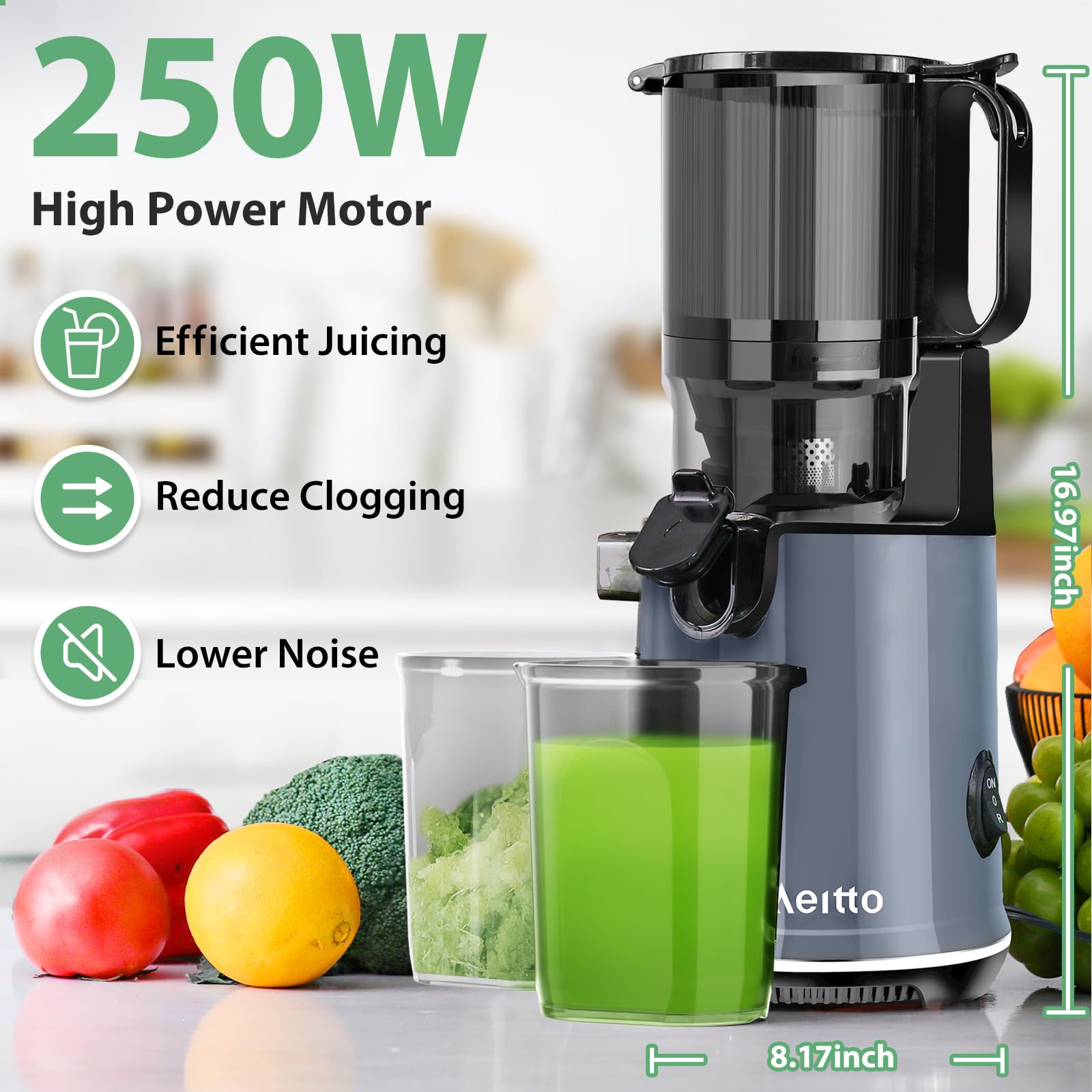 Aeitto Slow Juicer Machine - 250W Whole Fruit Juicer with 5.3