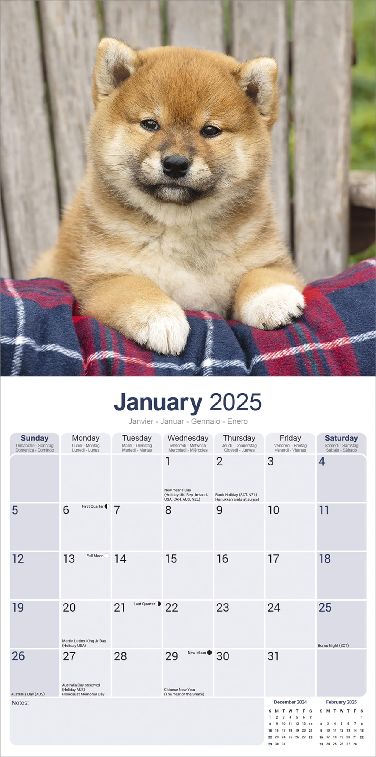 2025 Shiba Inu Dog Breed Wall Calendar - 16 Month Square Planner with Cute Puppy Photos | Perfect for Pet Lovers, Home & Office Decor, Gift Idea for Dog Owners