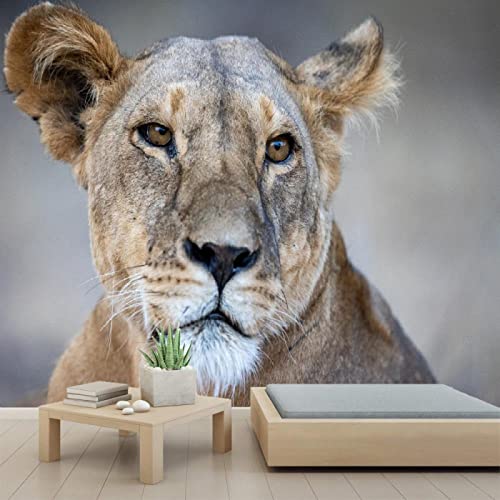 3D Lion Animal Wallpaper Peel and Stick - Self Adhesive PVC Wall Mural for Bedroom, Study Room, Nursery - 78