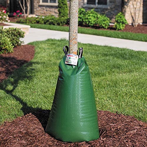 TreeGator Slow Release Tree Watering Bags - 6 Pack for Healthy Trees | Ideal for Newly Planted Trees, Drought Areas & Landscaping