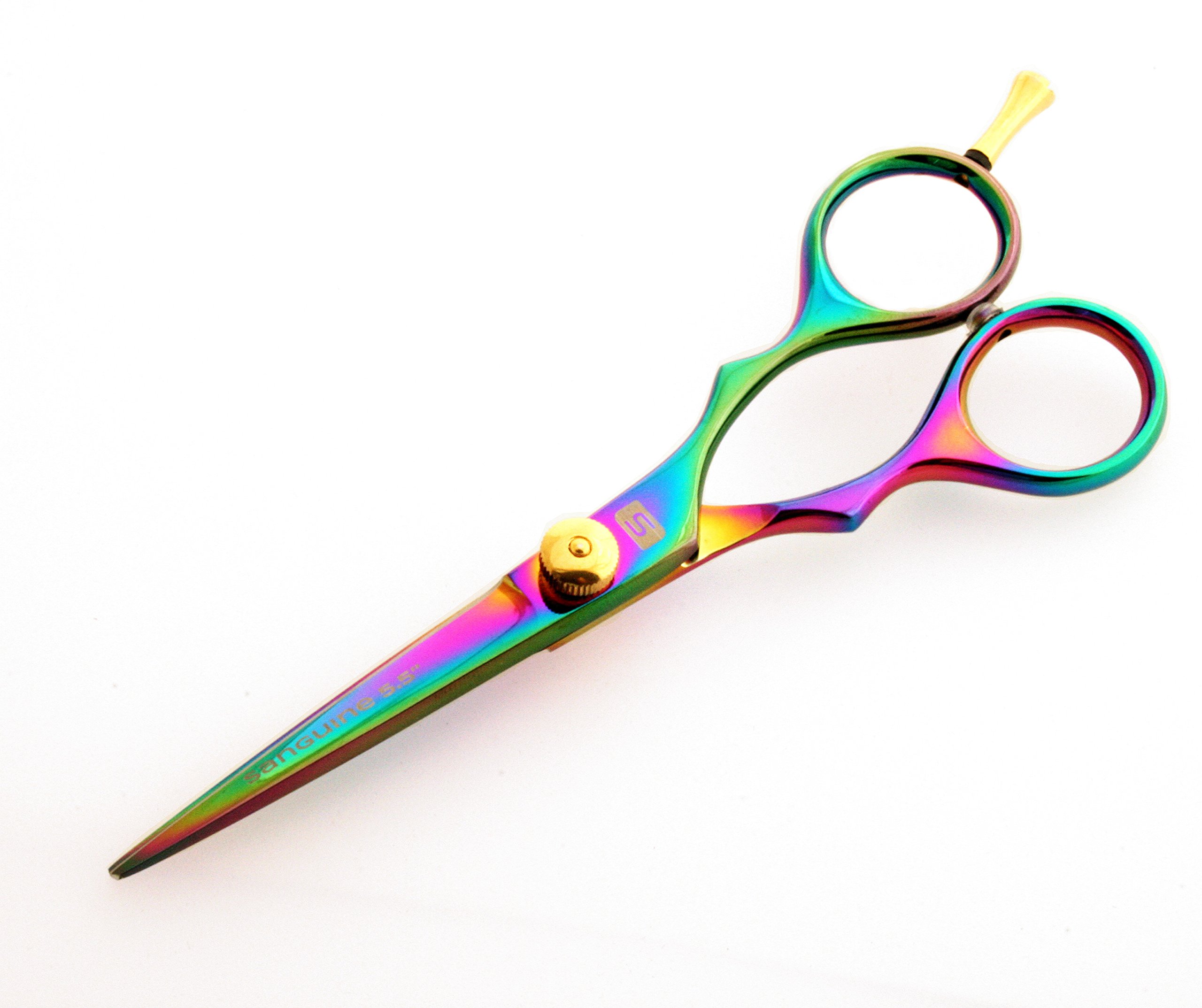 Professional Hair Cutting Scissors for Barbers & Stylists - Sharp Stainless Steel Salon Shears with Leather Case - Perfect for Haircuts, Styling & Trimming