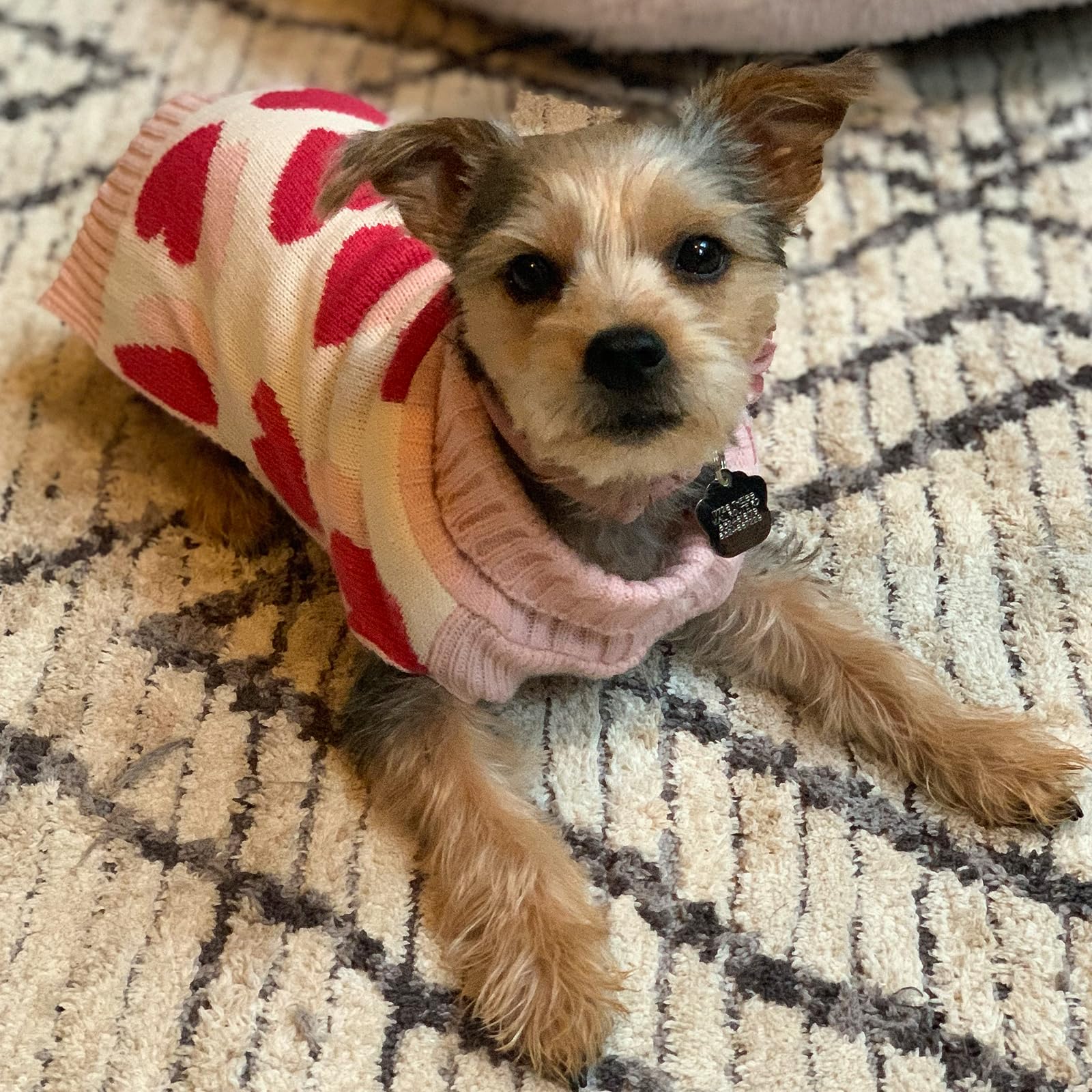 KYEESE Small Dog Sweaters with Leash Hole - Red Heart Pet Sweater for Puppies, Cozy Winter Dog Clothes for Chihuahua, Yorkie, Pug - Perfect for Outdoor Walks & Indoor Comfort