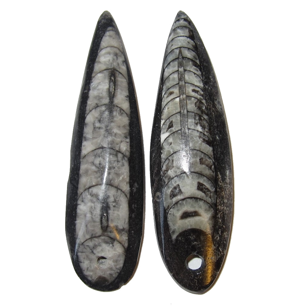 Fossil Mini Wand Pendant Necklace Set - Past Life Journey Crystal Amulet for Meditation & Spiritual Healing | Perfect for Reiki, Chakra Balancing & Energy Work