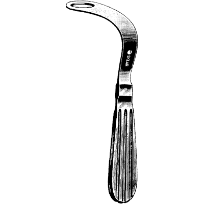 Bosworth Tongue Depressor - Pack of 75 (2175) - Medical Exam Tool for Doctors, Nurses & Dentists - Perfect for Throat Exams, First Aid Kits & Clinical Use
