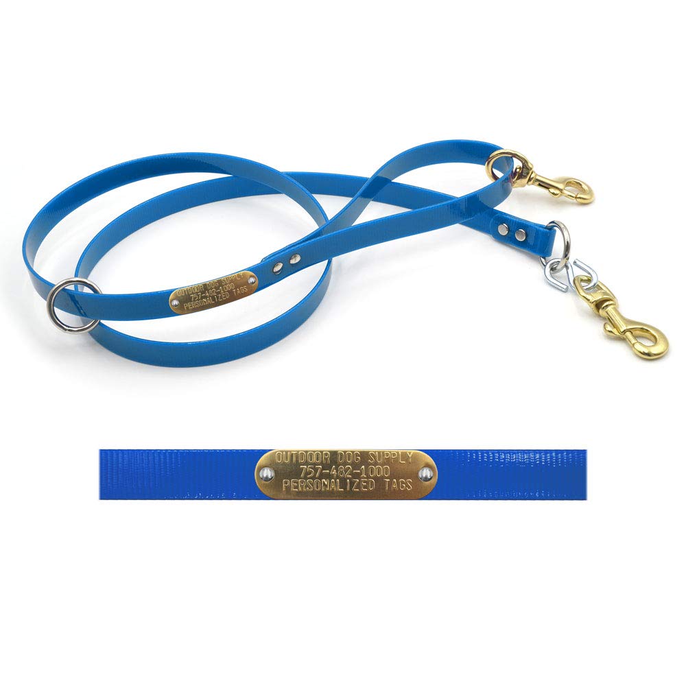 5' DayGlow Light Blue Reflective Dog Leash with Custom Brass Name Plate - Perfect for Night Walks & Outdoor Adventures
