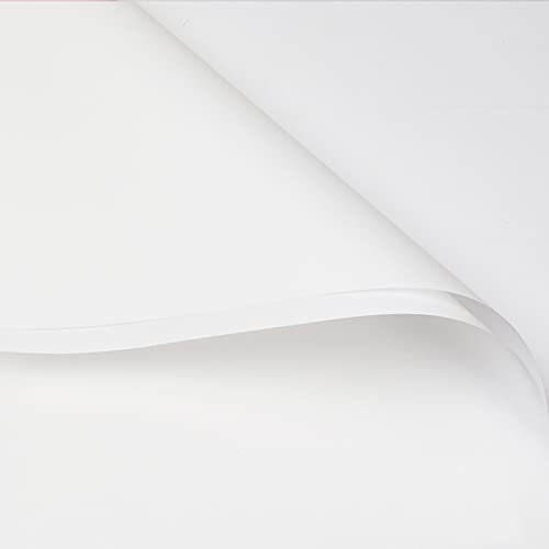 Swan White