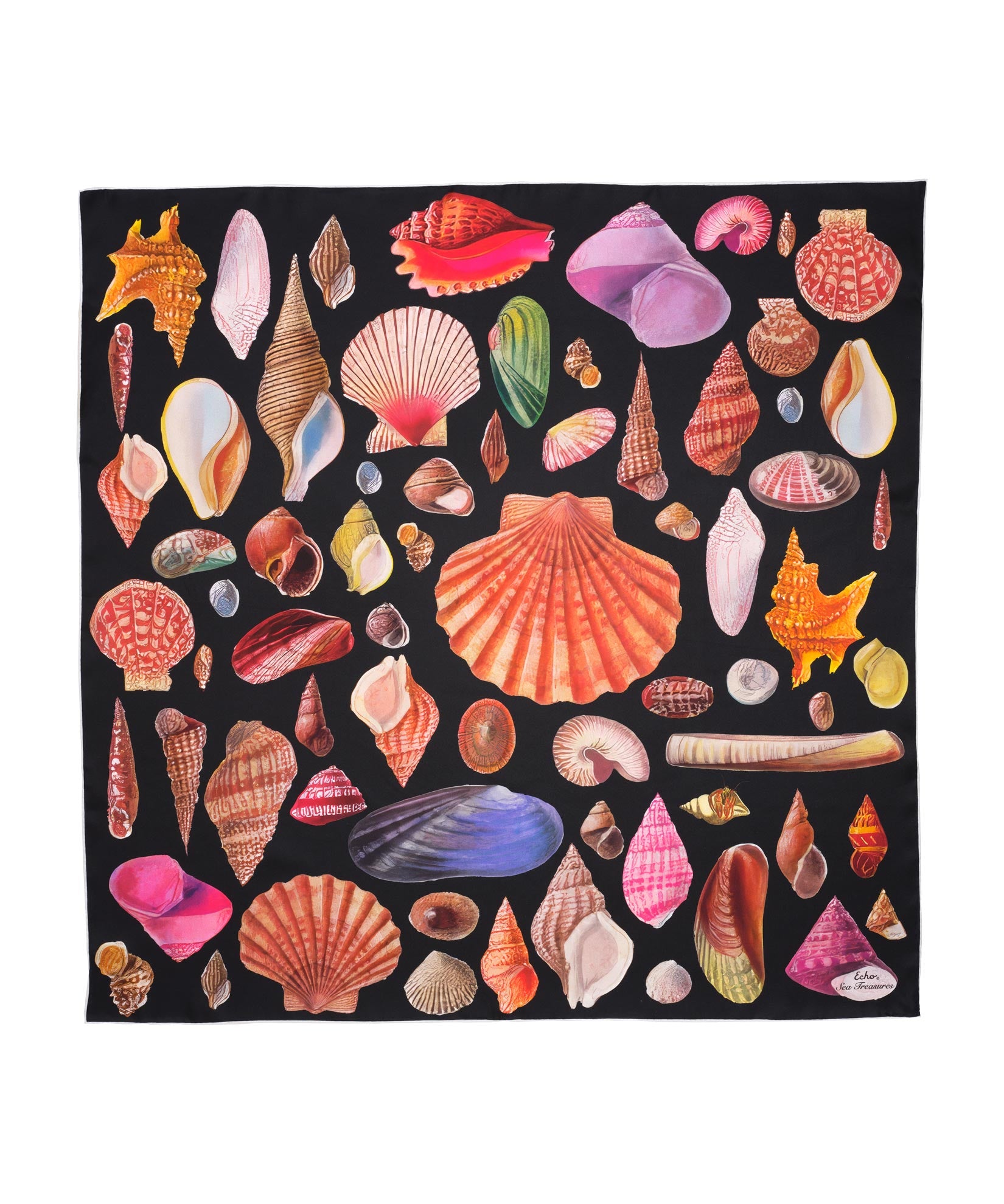 Sea Treasures 35