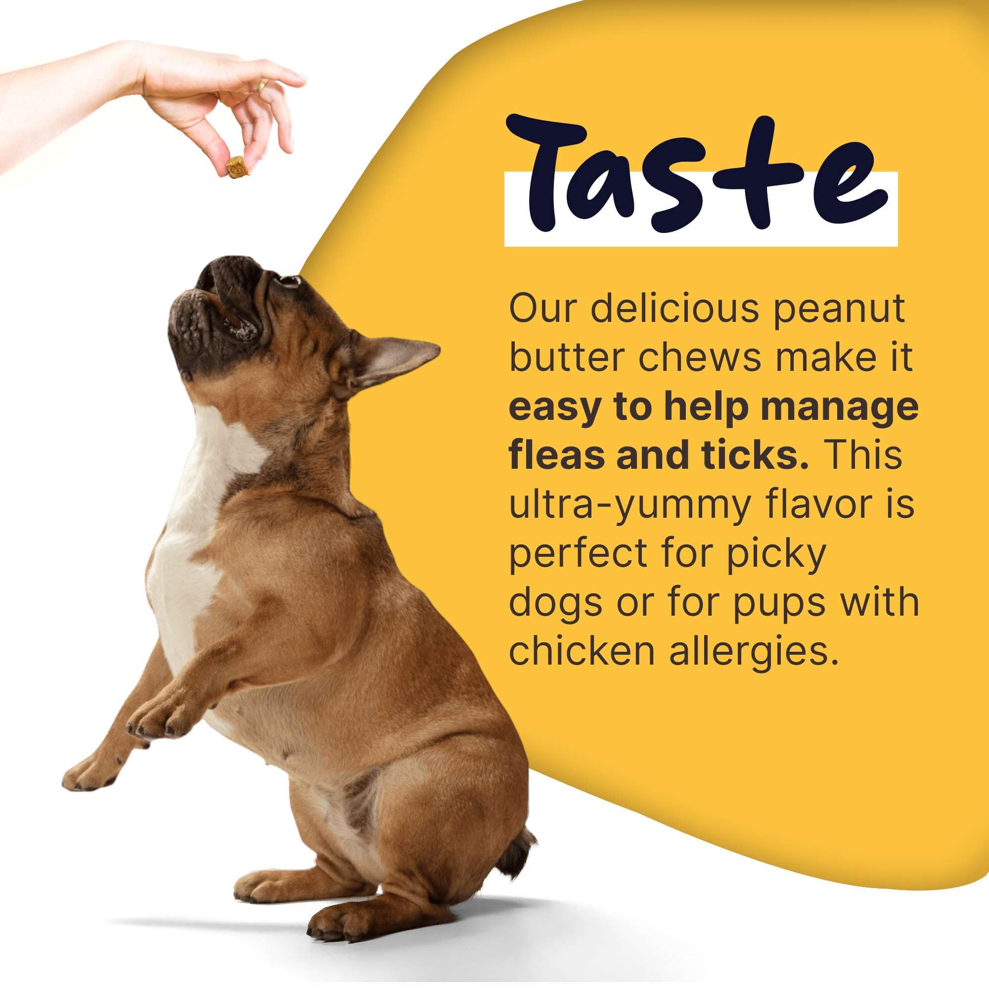 Natural Flea and Tick Prevention Chewable for Dogs - 90 Peanut Butter Flavored Soft Chews with B Vitamins & Garlic Powder | Supports Skin & Coat Health | Perfect for Outdoor Adventures, Dog Parks & Daily Walks