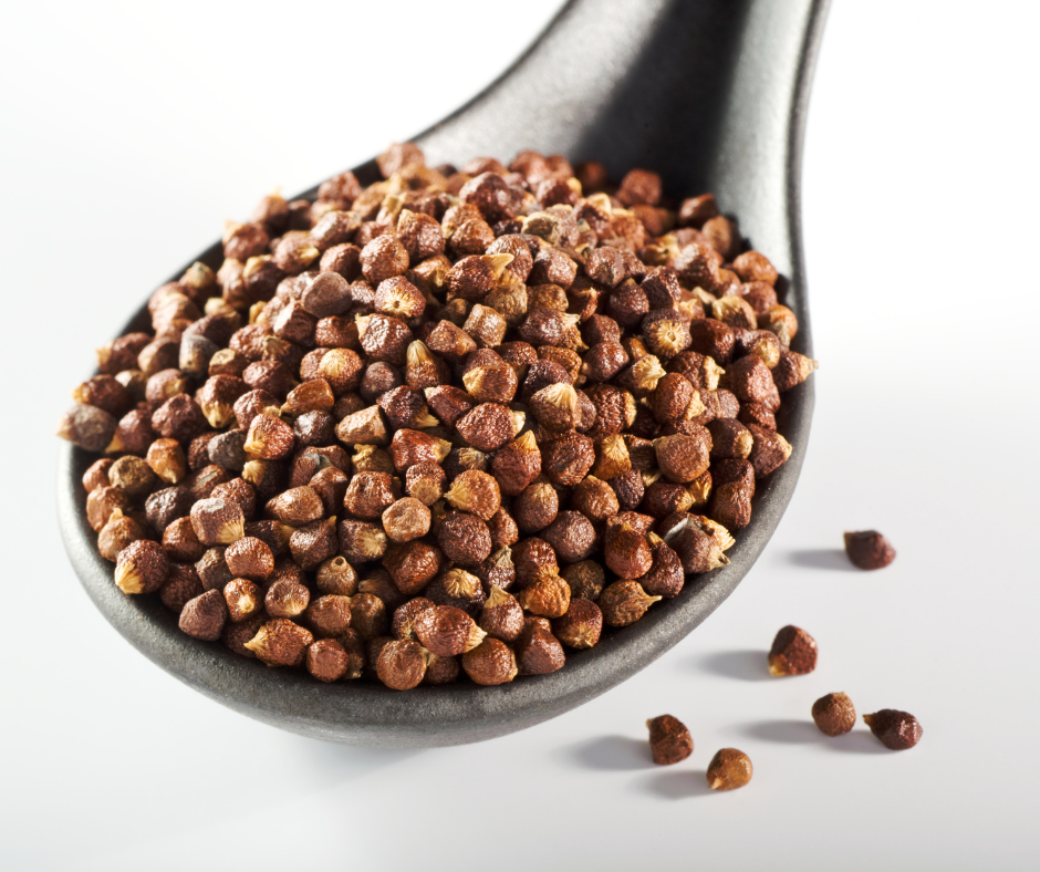 Premium Grains of Paradise (Aframomum Melegueta) - Exotic African Spice for Gourmet Cooking, Baking & Craft Cocktails | Authentic Whole Peppercorns for Chefs & Home Cooks | Perfect for Seasoning Meats, Soups & Specialty Beverages