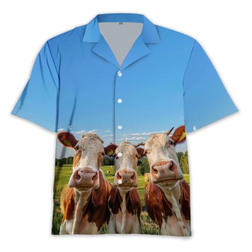 Sfarm-7