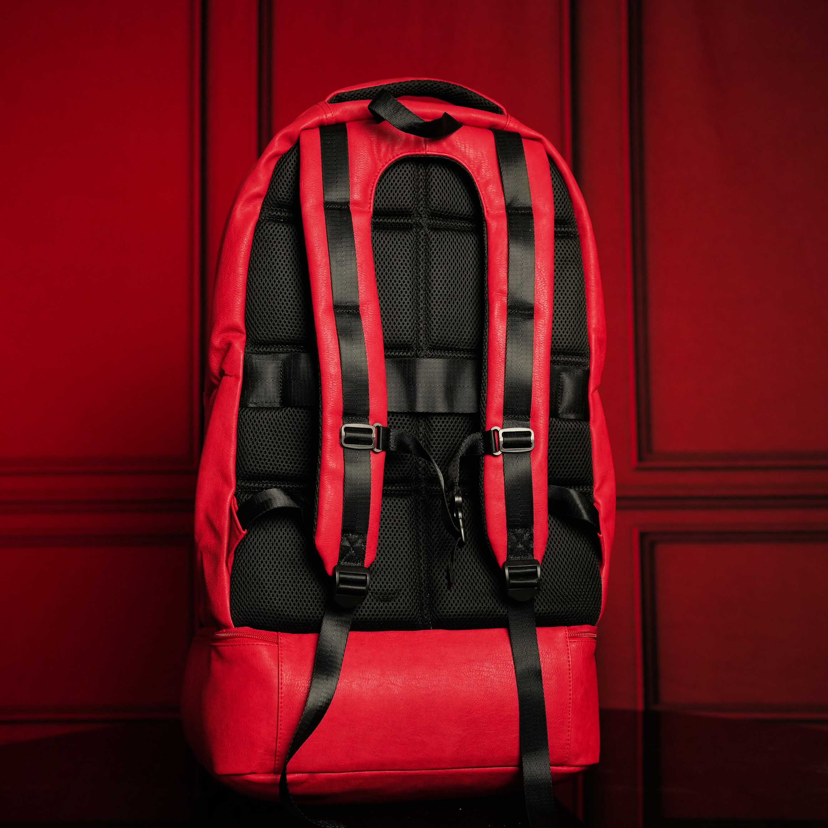 Premium Red Leather Shoe Bag for Size 17 - XL Design with Patent Protection - Perfect for Travel, Storage & Sneaker Collection Organization
