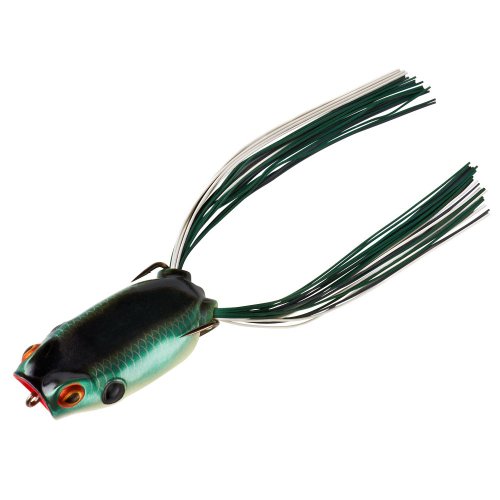 Shad Frog