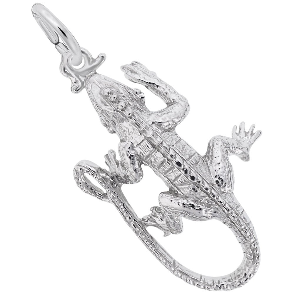 Iguana Charm for Jewelry Making - Sterling Silver or Gold Plated Lizard Pendant for Bracelets & Necklaces - Perfect for DIY, Gifts, and Animal Lover Accessories