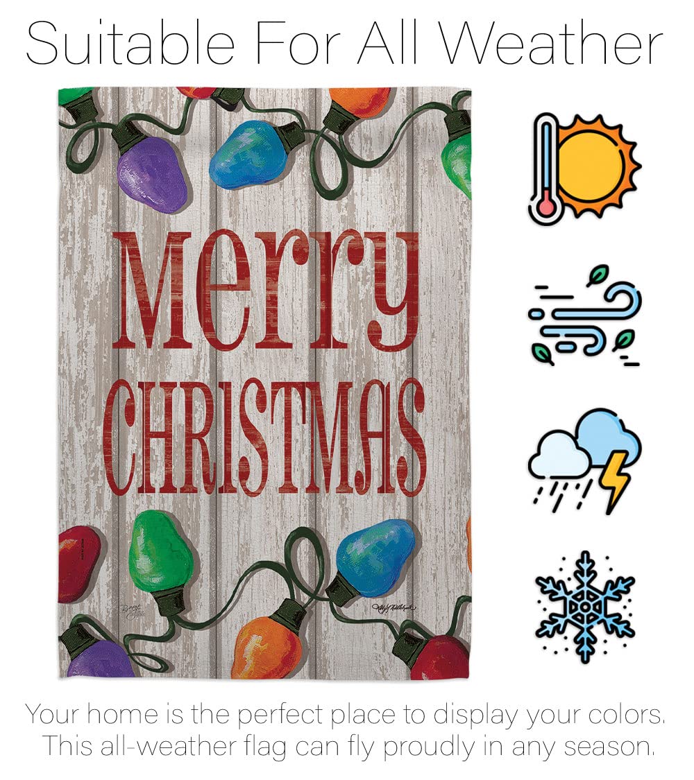 Bright Merry Winter Christmas Banner - 13