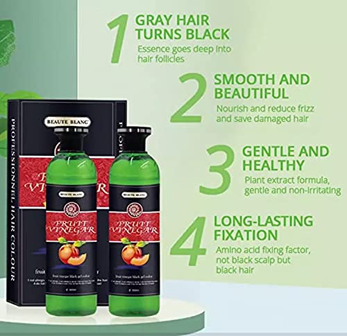 BEAUTE BLANC Fruit Vinegar Hair Color - Natural Black Hair Dye with Hair Care Benefits (500ml x 2 Pack) | Gentle Coloring for Gray Coverage & Daily Hair Maintenance