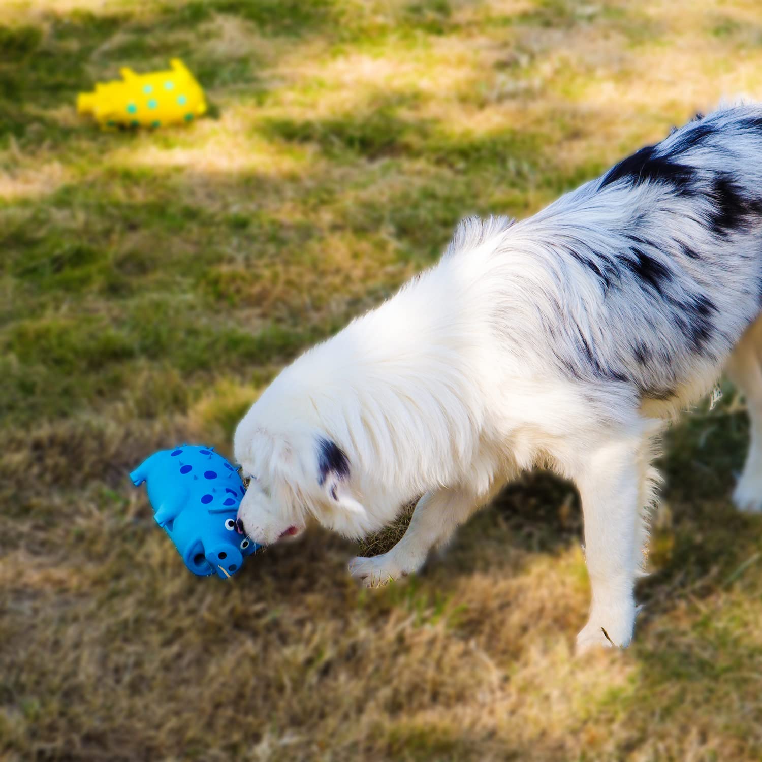 8-inch Latex Grunting Pig Dog Toy - Squeaky & Oinking Interactive Play Toy for Puppies & Dogs - Perfect for Fetch, Training & Chewing Fun