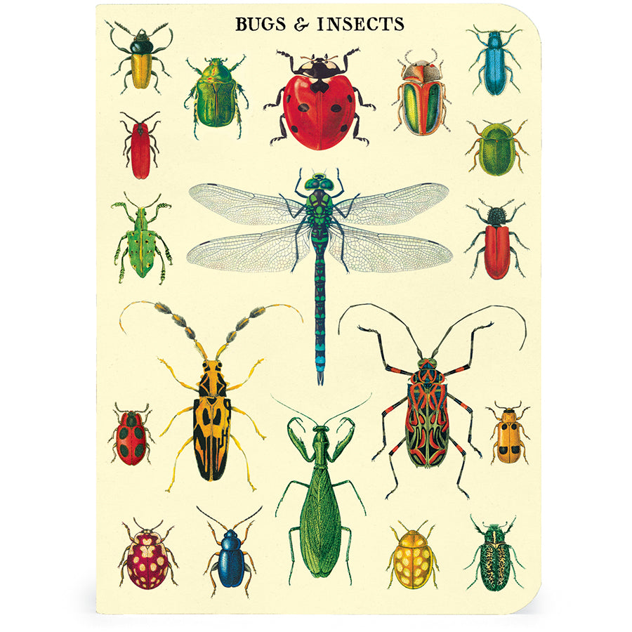 Cavallini & Co. Bugs & Insects Mini Notebook Set - 3 Pack, Pocket-Sized Journals for Nature Lovers, Travelers & Students - Perfect for Field Notes, Sketching & Gift Giving