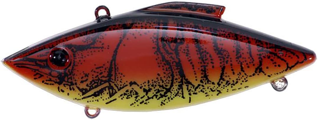 American Shad