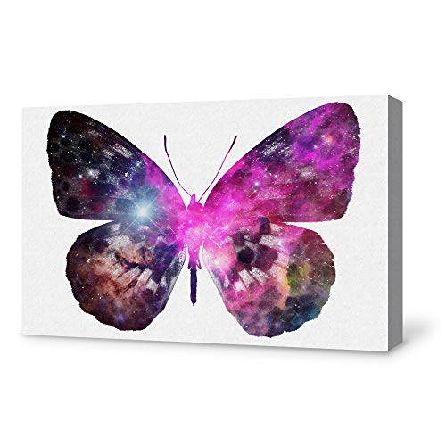 Butterfly-1906-m09