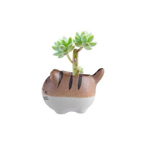 Cute Mini Ceramic Animal Shaped Vase - Cat Planter for Succulents & Cactus Plants | Home Decor, Office Desk Decor, Gift Idea for Plant Lovers