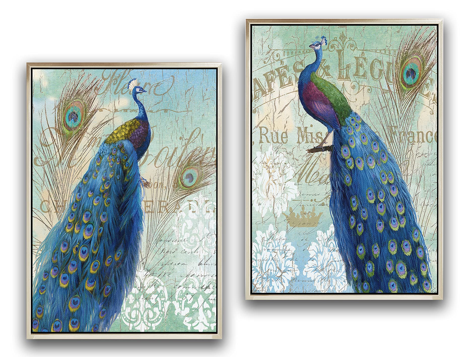TEXTURE OF DREAMS Peacock Wall Art - 2 Panel Framed Canvas Painting of Blue Peacock Tail Feathers with Flowers, 36