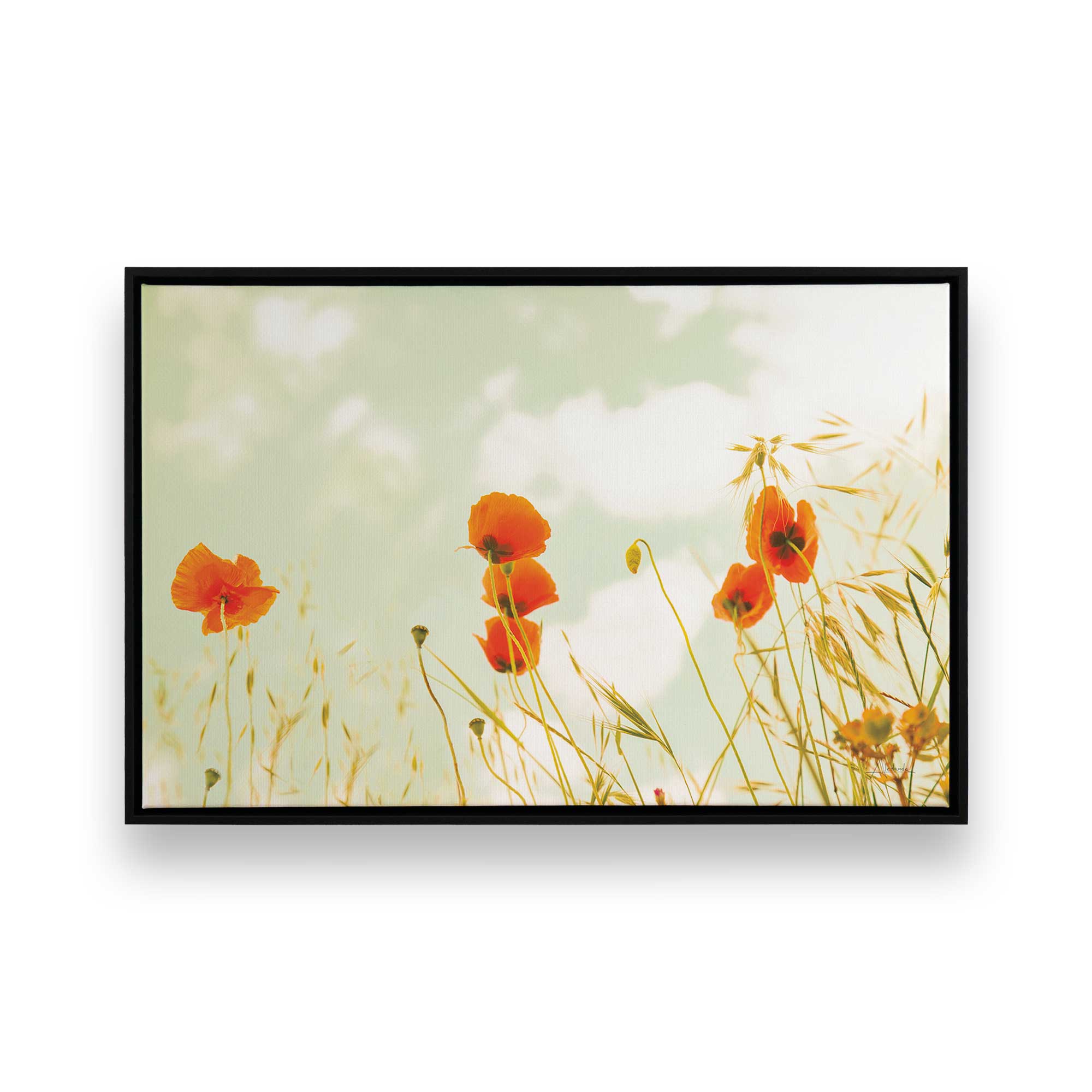 Gentle Poppy Breeze Canvas Wall Art - Floral Home Decor for Living Room, Bedroom & Office - Handmade Oil Painting Reproduction