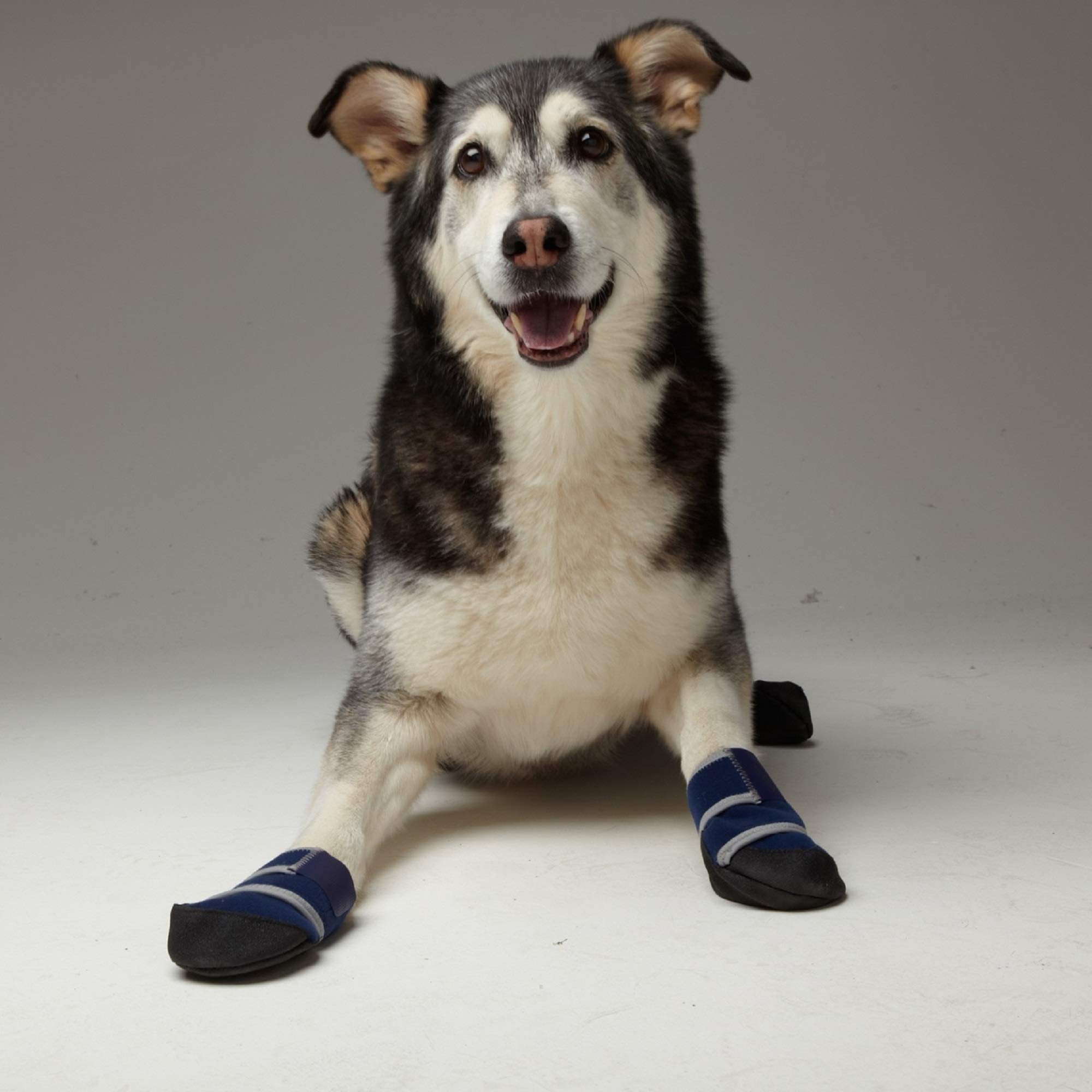 Healers Medical Dog Boots & Bandages for Small Dogs - Protective Paw Wraps for Injuries, Wounds & Post-Surgery Care - Ideal for Walking, Recovery & Outdoor Activities