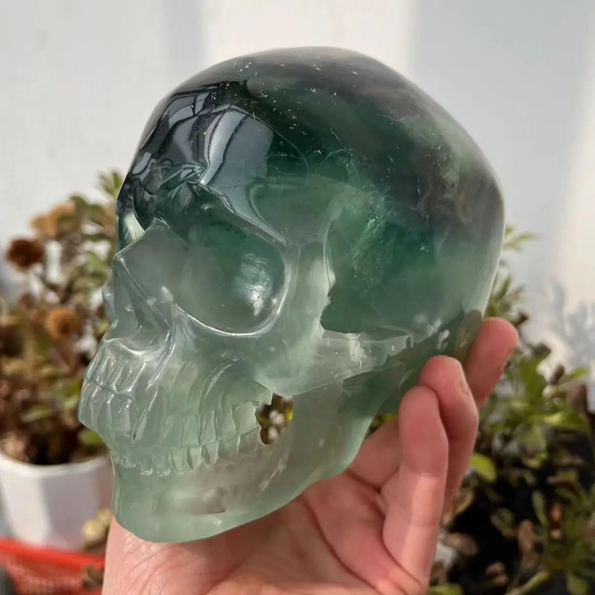 Natural Fluorite Quartz Crystal Hand Carved Skull - 110-130mm Healing Stone for Reiki, Meditation & Home Decor - Unique Spiritual Gift for Collectors & Energy Workers
