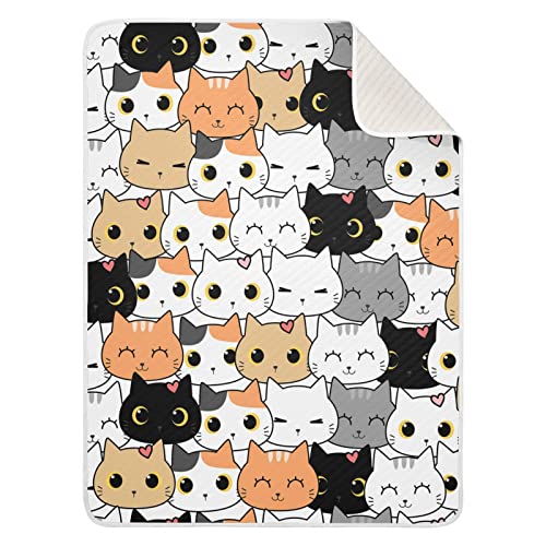 12-cat