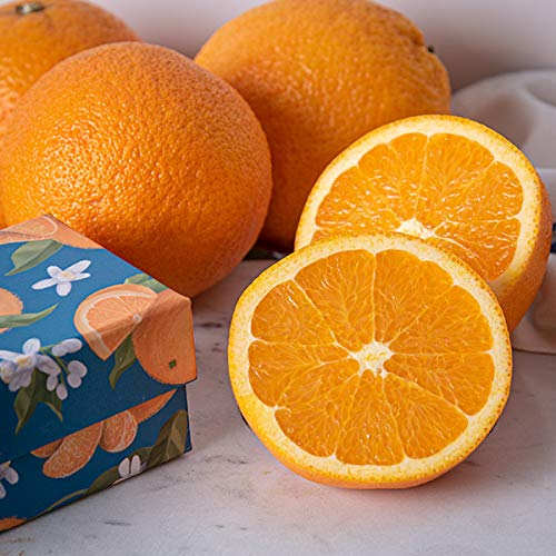 Premium Deluxe Fruit Gift Basket - Gourmet Food Gift Box for Birthdays, Christmas, Sympathy - Luxury Gift for Men, Women & Families - Perfect for Corporate Gifts, Housewarming & Holiday Celebrations