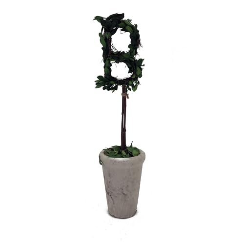 Forest Green B