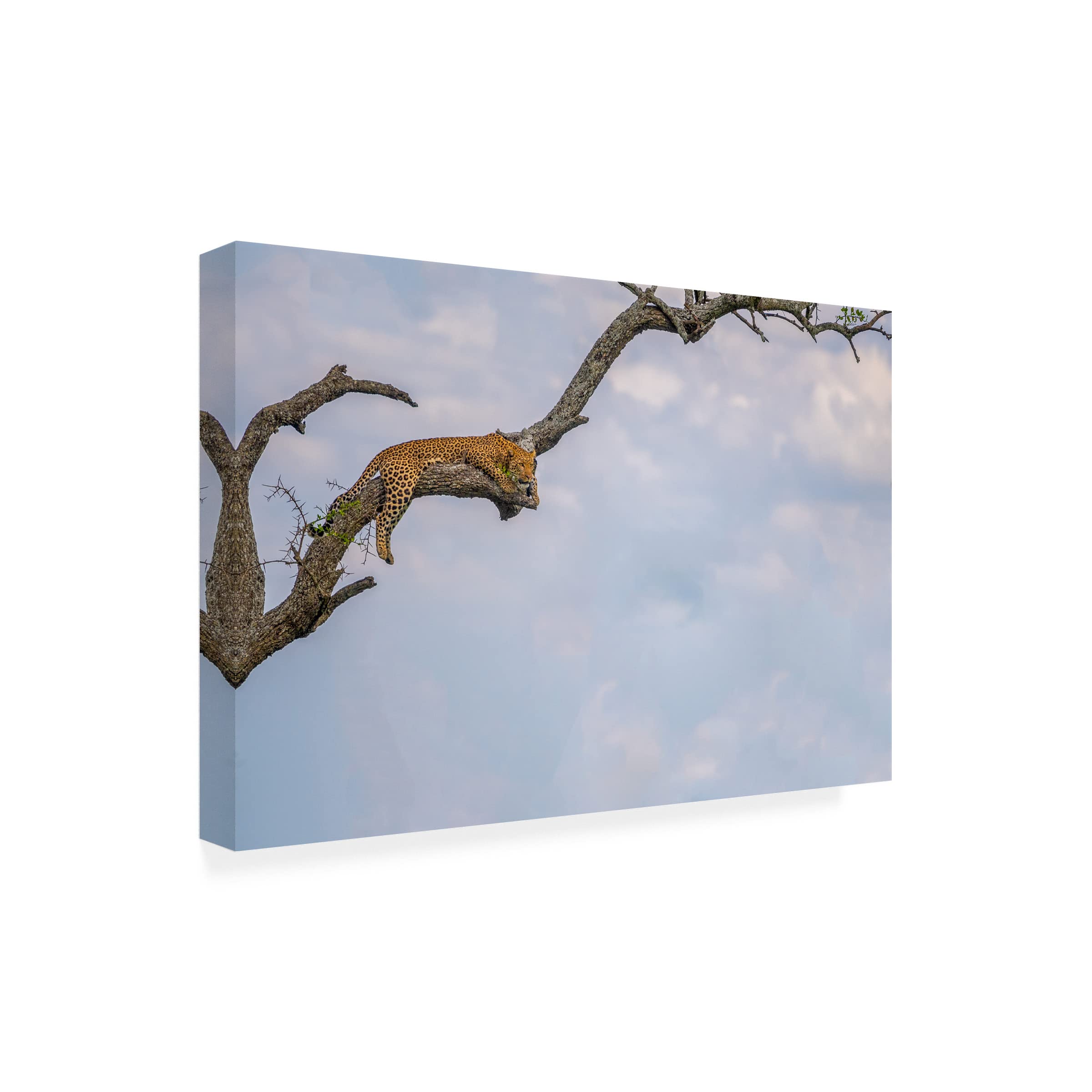 Trademark Fine Art 'Point Of View' Canvas Wall Art by Mohammed Alnaser - Modern Abstract Painting for Living Room, Bedroom & Office Decor