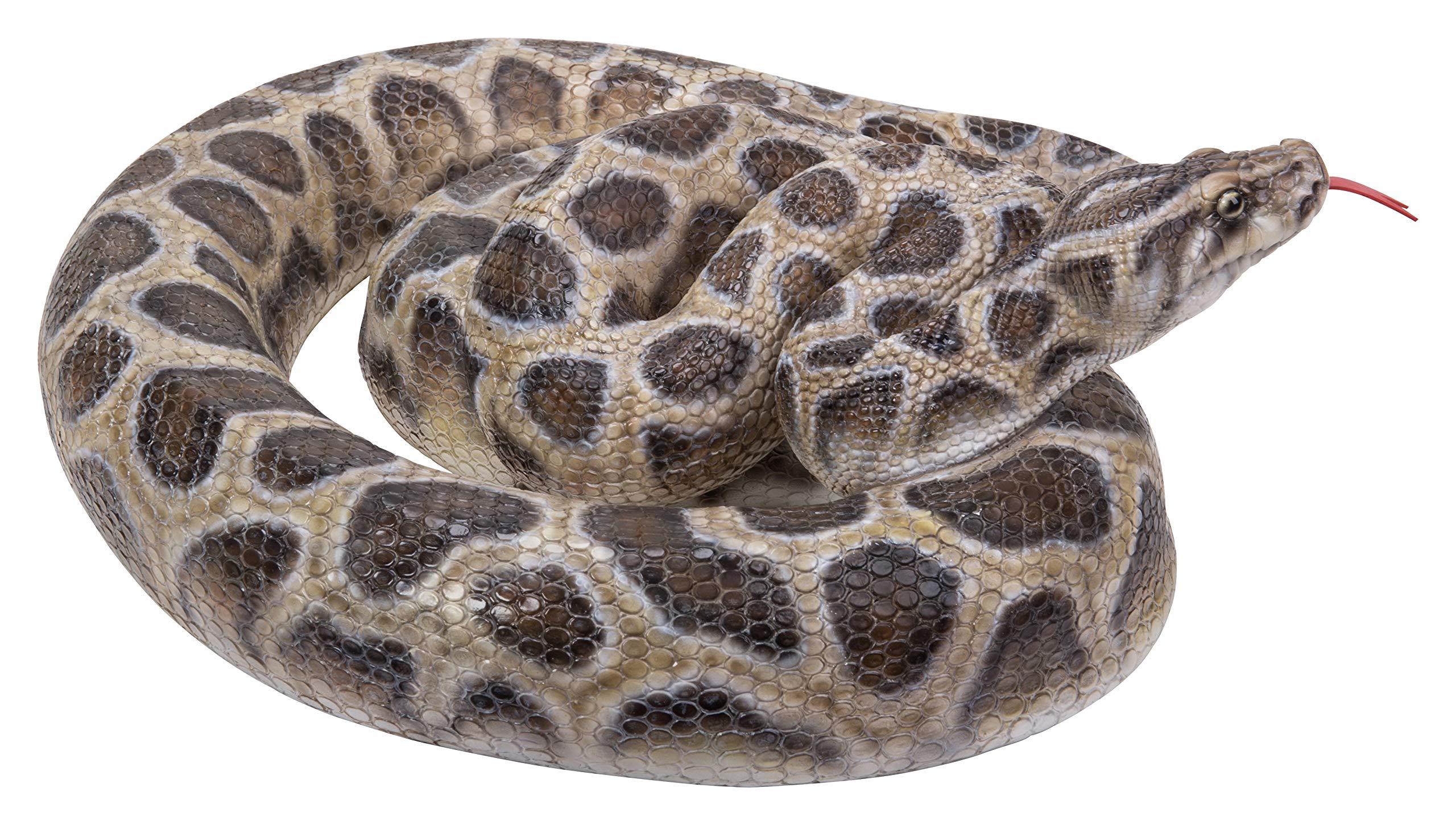 Hi-Line Gift 87680-A Realistic Curled Up Python Snake Statue - Home Decor, Office Desk Ornament, Garden Sculpture, Unique Gift for Reptile Lovers