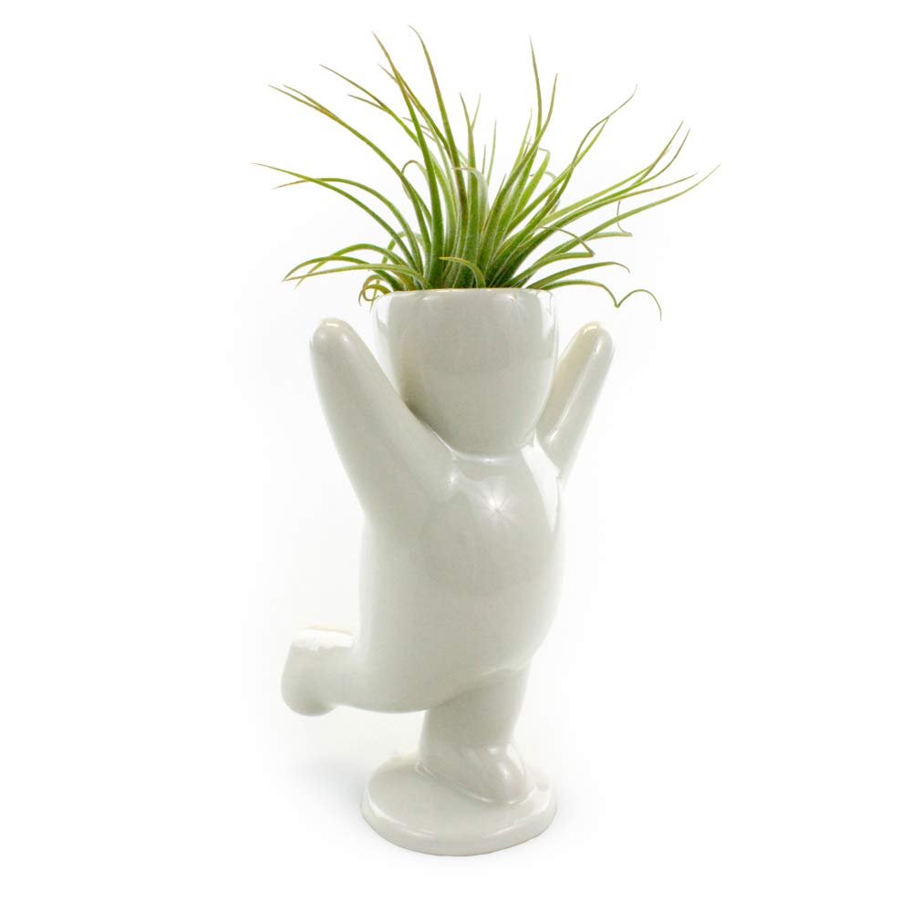 Happy Person Shaped Ceramic Planter (3.25 Inch) with Live Tillandsia Air Plant - White Indoor Air Plant Holder for Home, Office Desk & Shelf Decor - Perfect for Gifts, Zen Gardens & Boho Home Decor