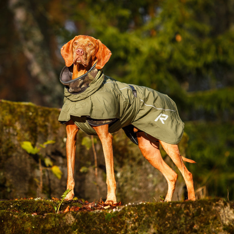 Rukka Pets Sky Raincoat for Dogs - Waterproof & Lightweight Dog Rain Jacket for Small to Medium Breeds - Perfect for Outdoor Walks, Hiking & Rainy Day Adventures