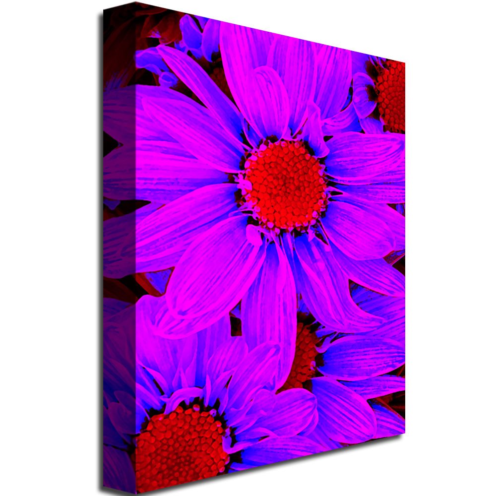 Amy Vangsgard Pop Daisies Canvas Art - 35x47 Inch Floral Wall Decor for Living Room, Bedroom & Office | Modern Botanical Painting for Home & Office Decor