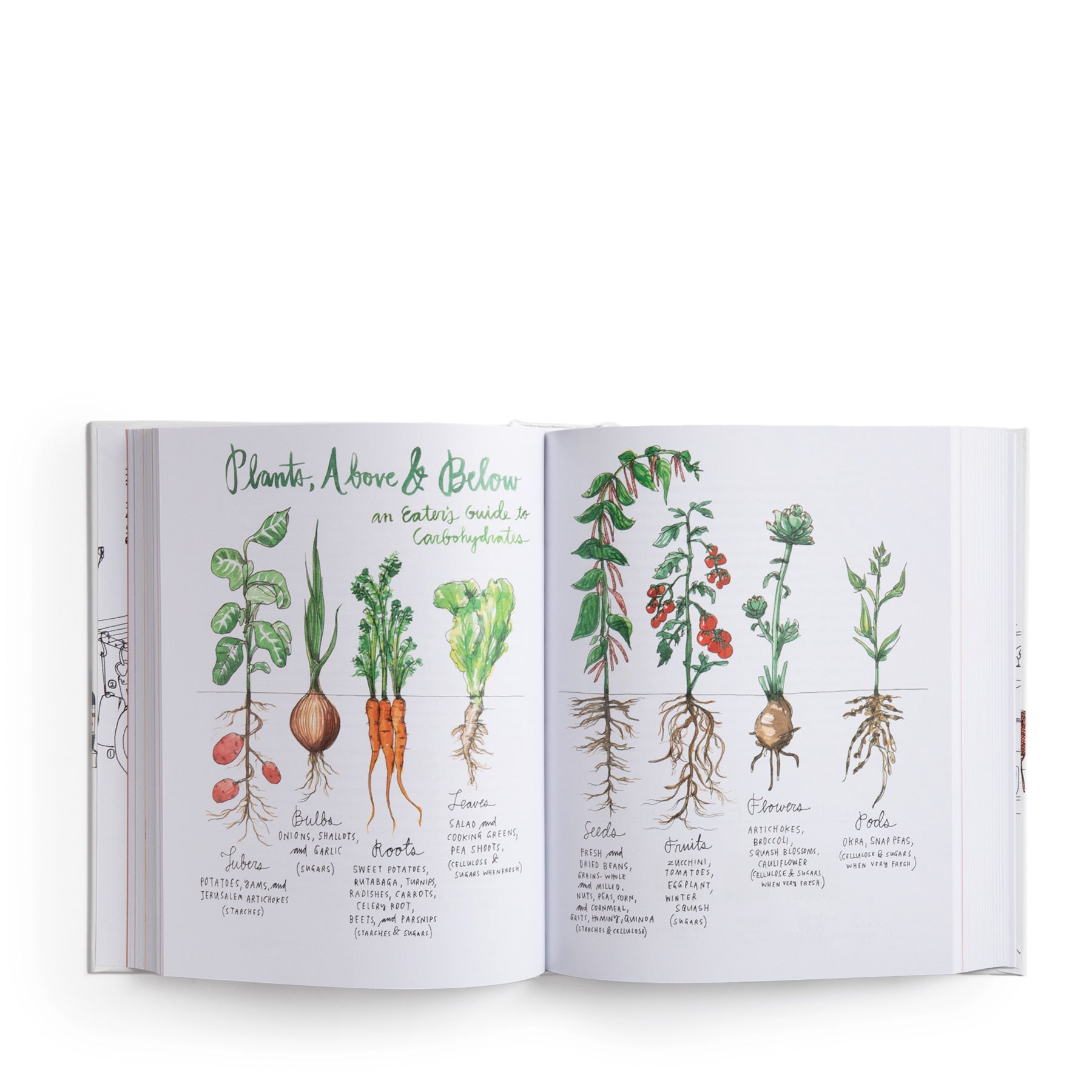 Salt Fat Acid Heat: Mastering the Elements of Good Cooking - Essential Cookbook for Home Chefs & Culinary Enthusiasts | Perfect for Kitchen Experiments & Gourmet Meal Preparation