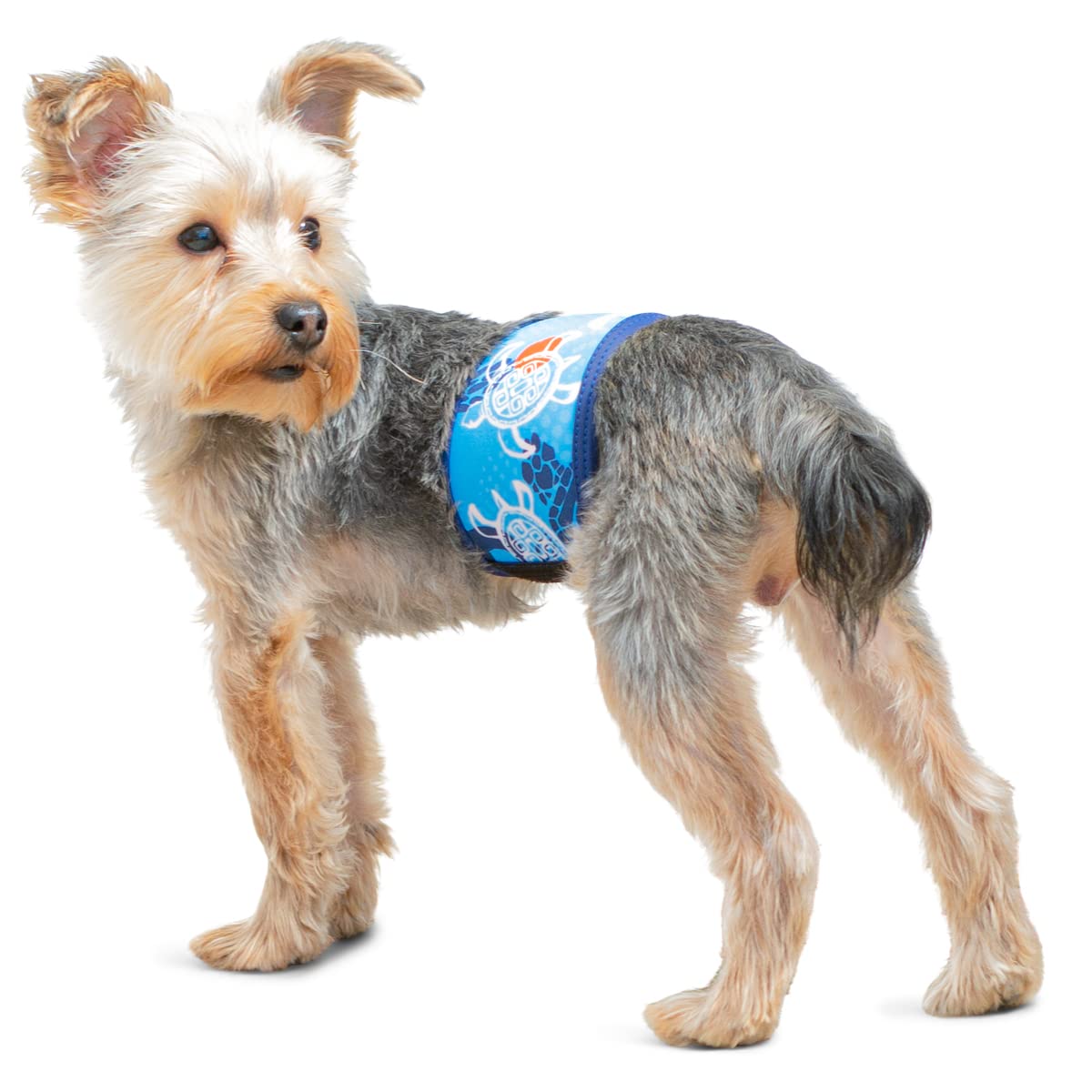 PlayaPup Washable Male Dog Belly Bands - Reusable Incontinence Wrap for House Training, Travel & Post-Surgery Protection | Comfortable Pet Diaper Alternative for Small Medium Large Dogs