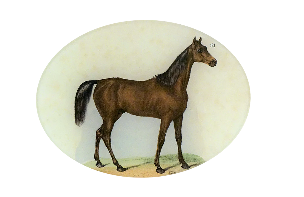 Elegant Horse-Themed Oval Serving Tray - Perfect for Dining, Entertaining, and Home Decor | Durable & Stylish Serving Platter for Parties, Weddings, and Gifts