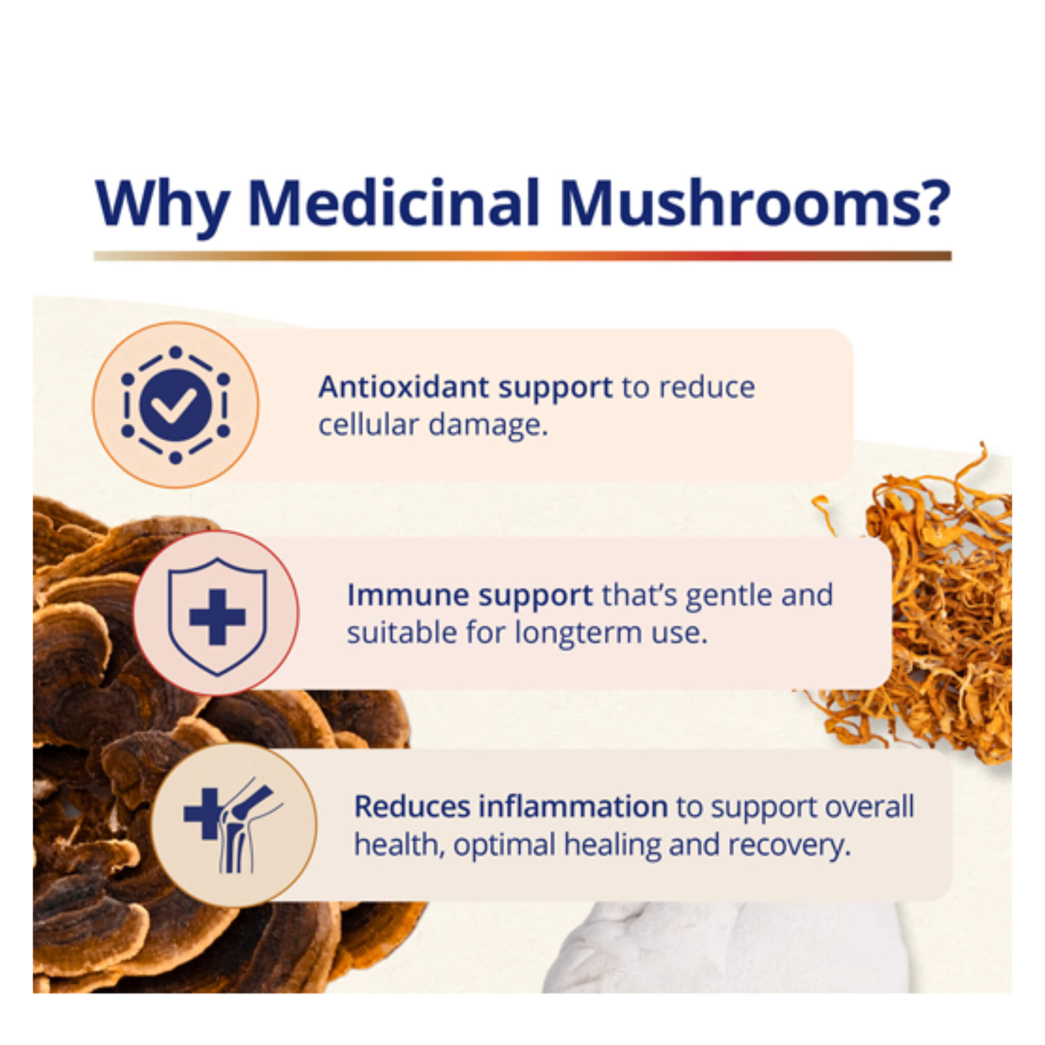 Premium Cordyceps Militaris Full Spectrum Extract - Immune Support & Energy Booster for Athletes, Fitness Enthusiasts & Wellness Seekers | Natural Supplement for Stamina, Recovery & Overall Vitality