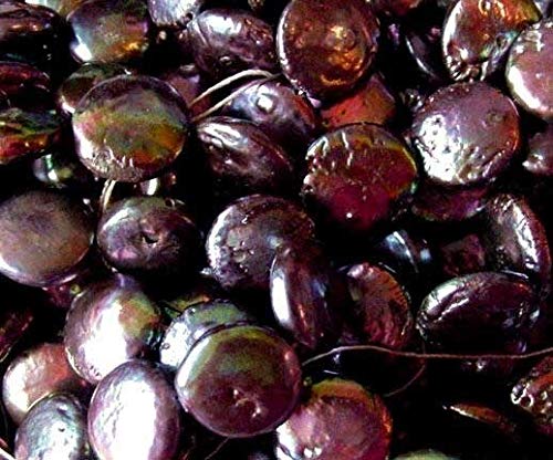 Rainbow Peacock Coin Freshwater Pearl Strand - 104481 for DIY Jewelry Making, Beading, Necklaces & Bracelets - Perfect for Crafting, Gifts & Fashion Accessories