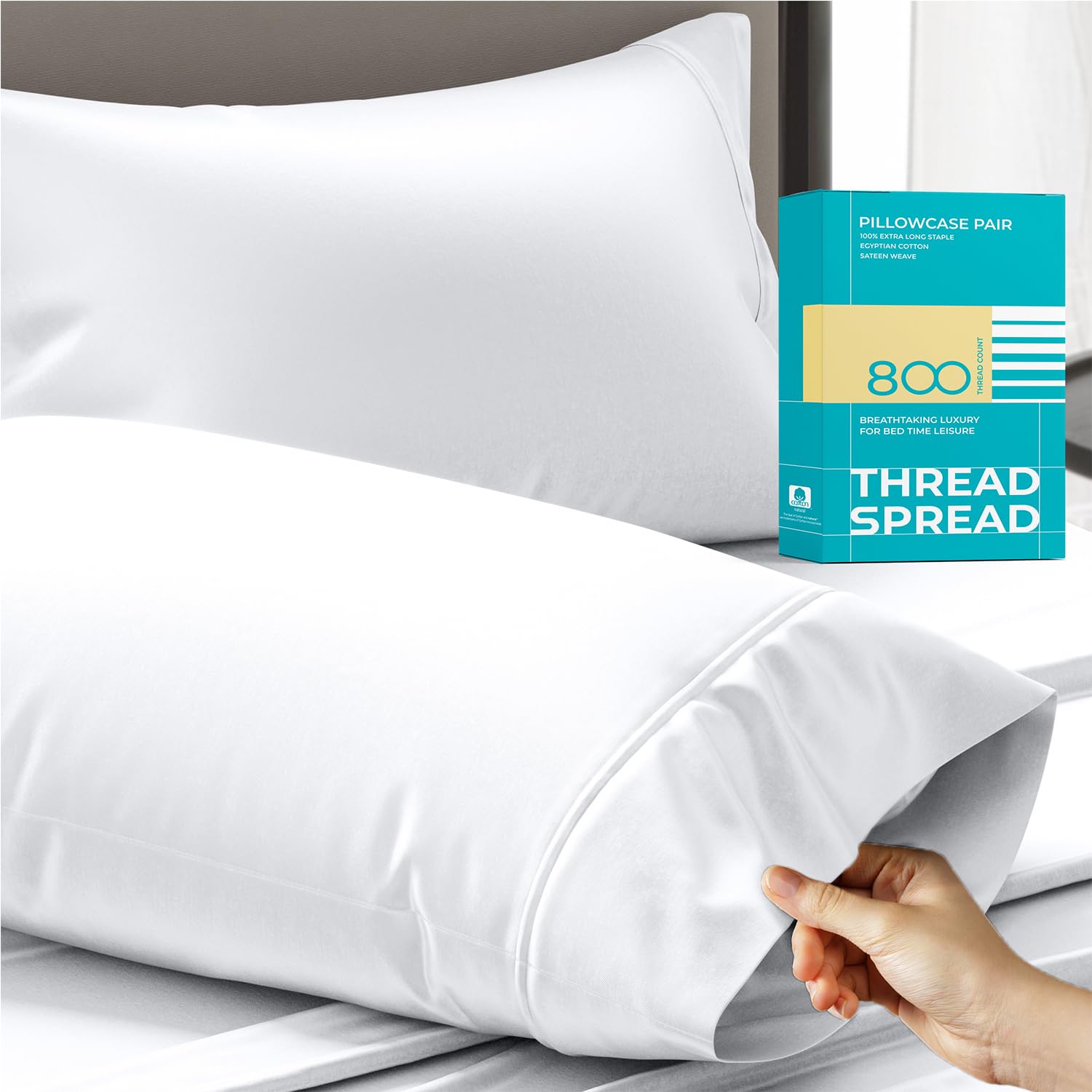 800 Thread Count 100% Egyptian Cotton Queen Pillowcase Set (2-Pack) - Soft Sateen for Luxury Bedding