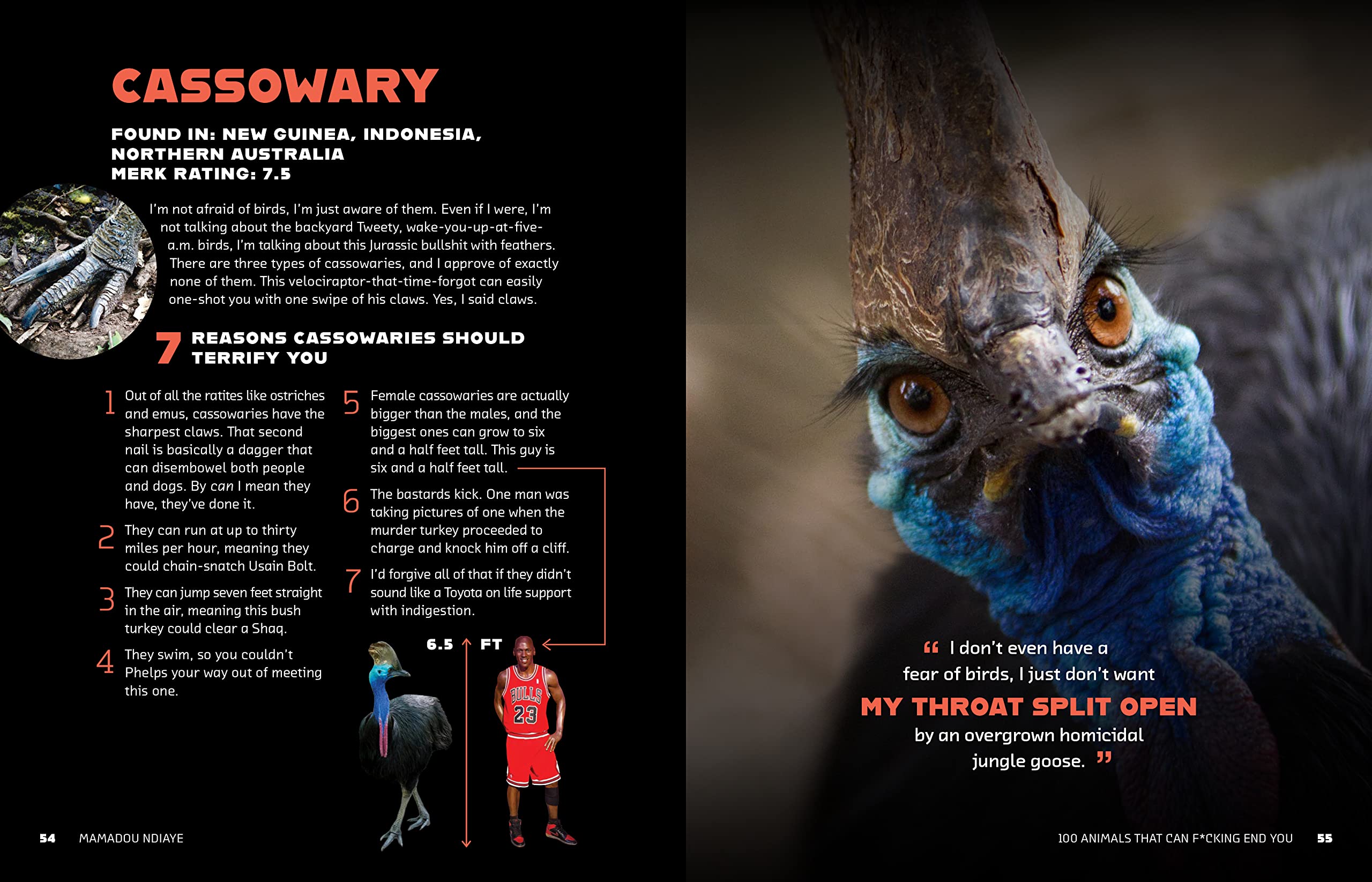 100 Deadly Animals That Can Kill You - Dangerous Wildlife Guide for Outdoor Safety & Survival Tips