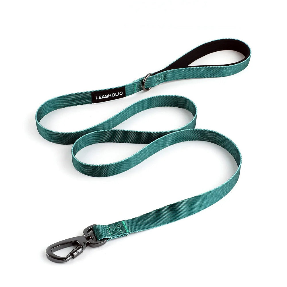 Premium Classic Comfort Dog Leash - Durable Nylon Pet Walking Lead with Padded Handle for Small Medium Large Dogs - Perfect for Daily Walks, Training & Outdoor Adventures