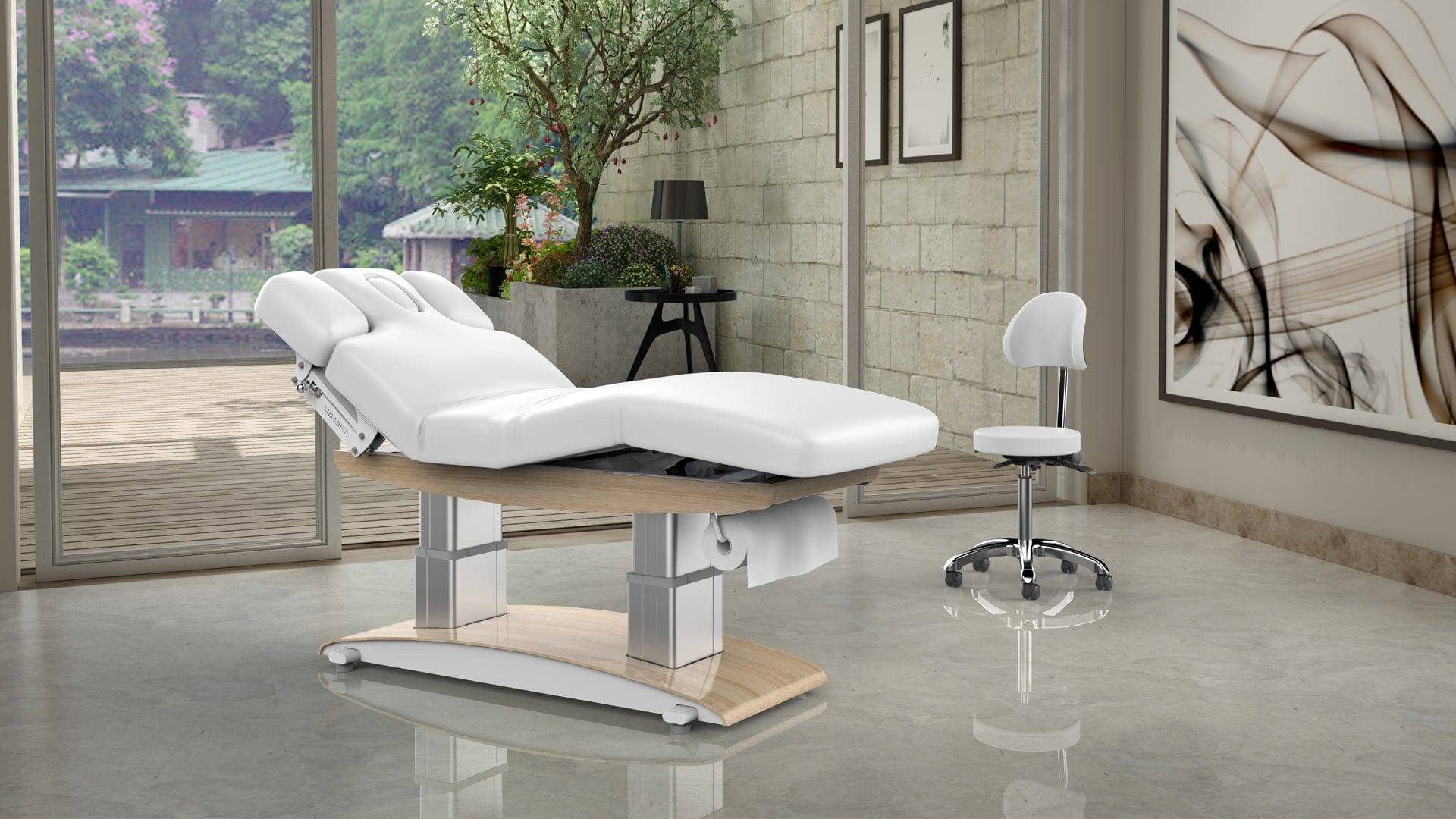 Professional Bliss Spa Treatment Bed & Esthetician Table for Massage & Facial - Heavy Duty Hydraulic Adjustable Beauty Salon Equipment for Spa & Wellness Centers