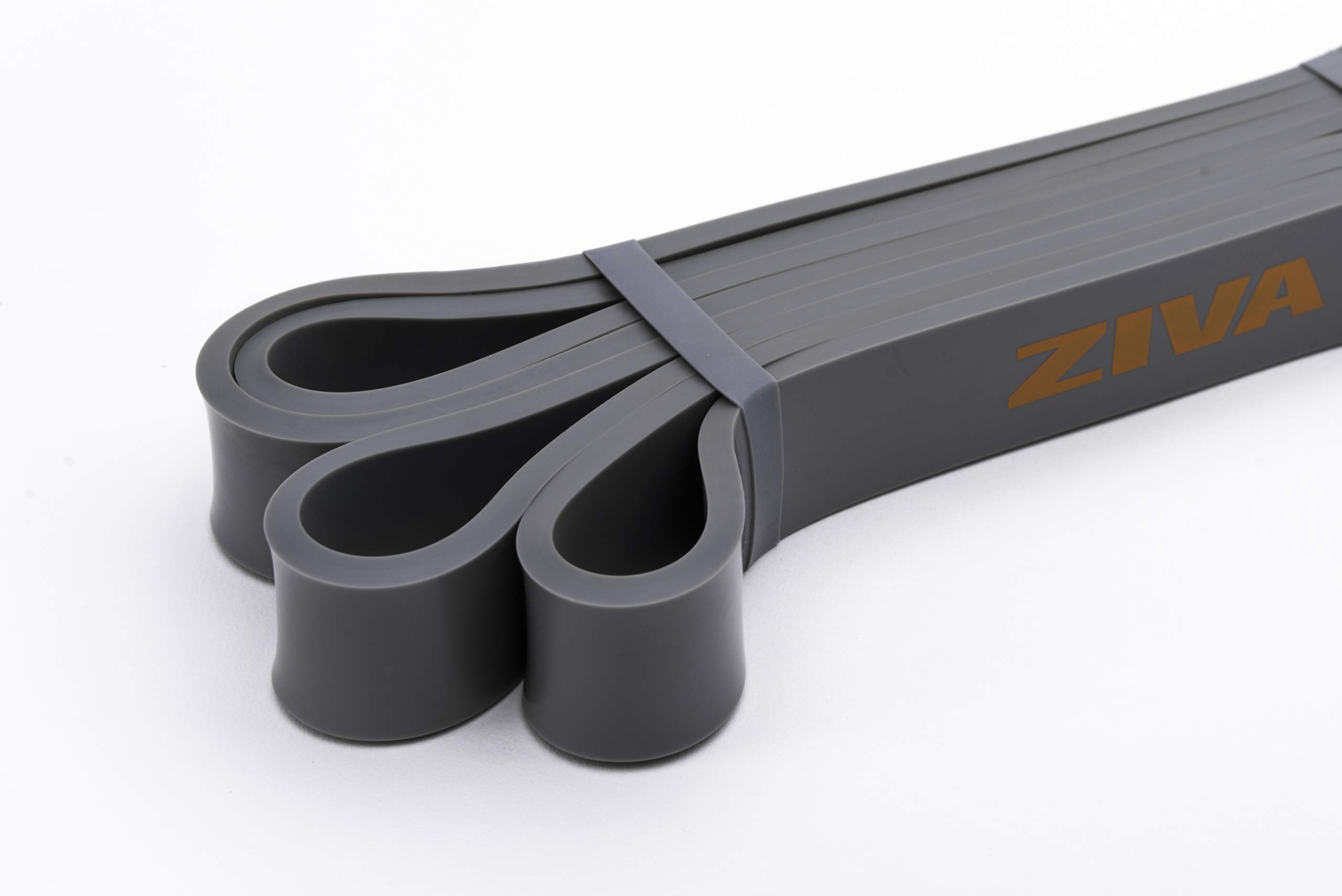 Ziva PRO Portable Resistance Band - Pull Up Assistance Exercise Bands for Home Fitness, Stretching, Strength Training & Physical Therapy – Medium Resistance (22-44 lbs), 41